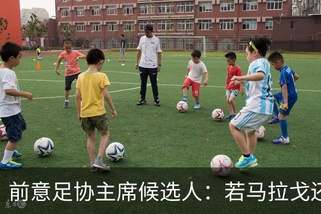 前意足协主席候选人：若马拉戈还是先选主帅，那么什么都没有改变