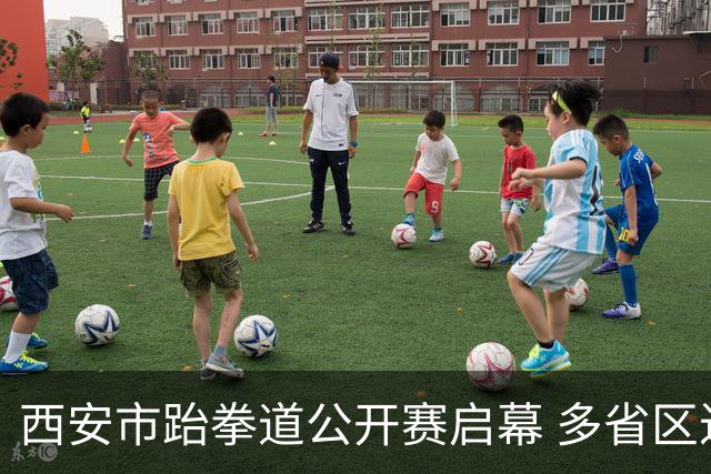 西安市跆拳道公开赛启幕 多省区近500名选手同台竞技